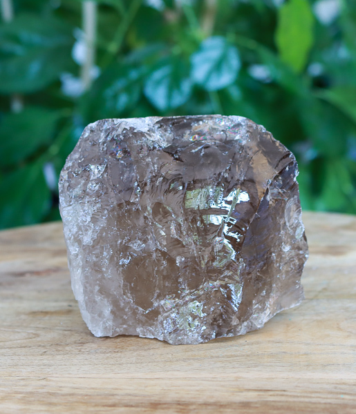 Rookkwarts - Afbeelding 2